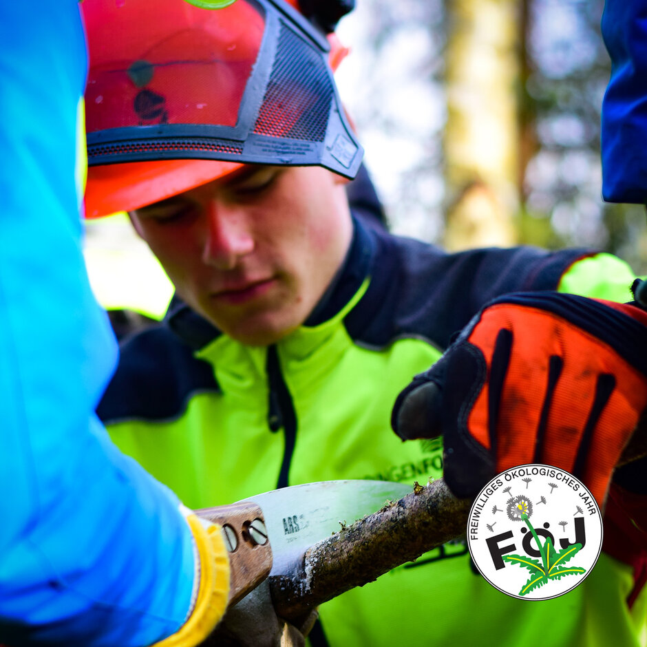 Nahaufnahme FÖJler beim Absägen eines Astes.