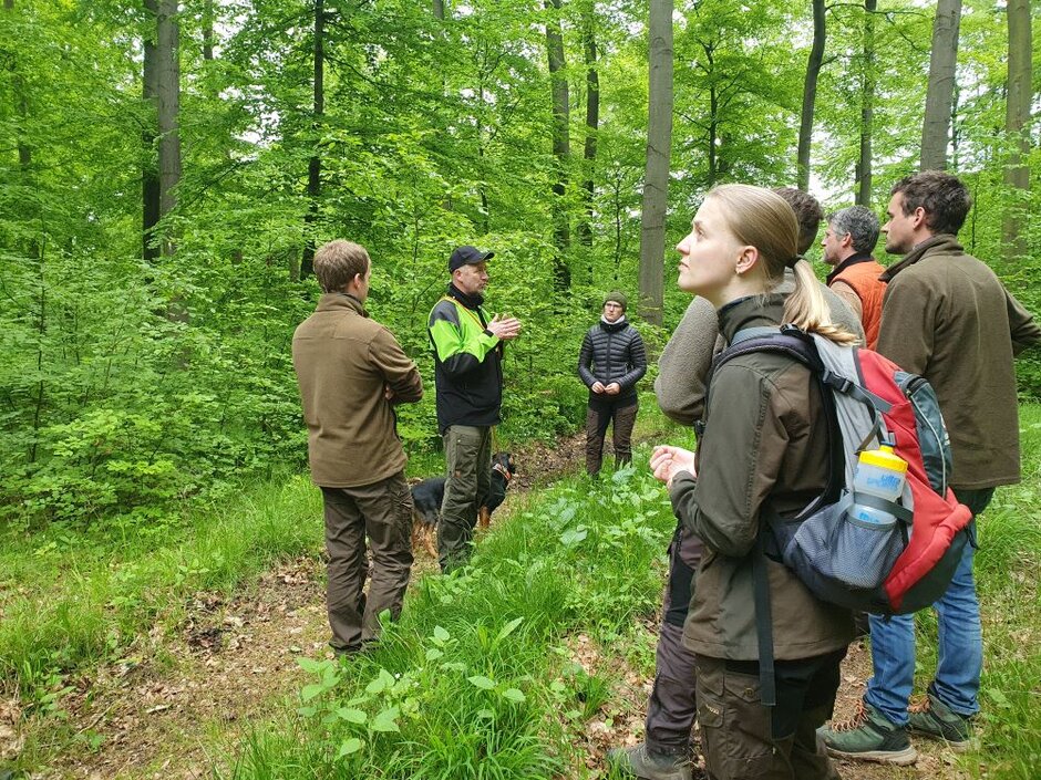 Eine Gruppe aus Studenten stehen in einem Buchenwald und hören dem Revierförster zu.