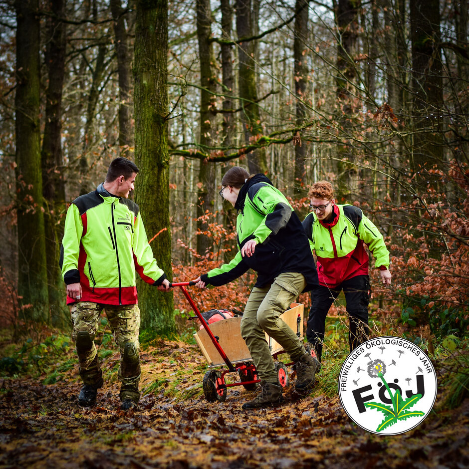 Drei Föjler:innen ziehen Ausrüstung in einem Handwagen in den Wald