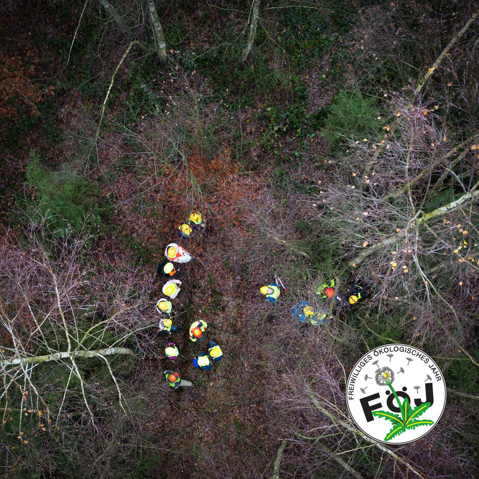 Luftaufnahme der FÖJler:innen im Wald.