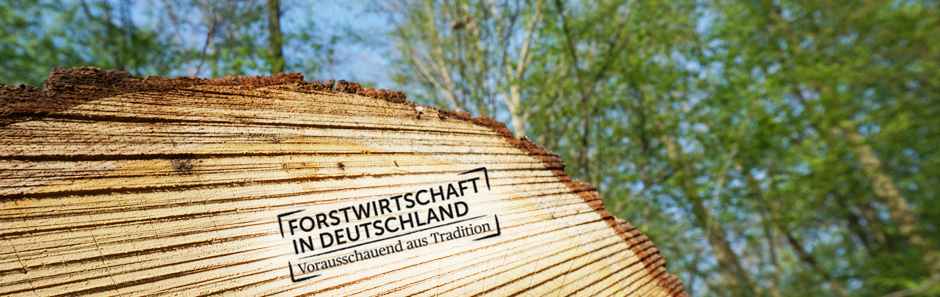 Stammholz im Wald mit Logo "Forstwirtschaft in Deutschalnd"; im Hintergrund stehen groß gewachsene Laubbäume