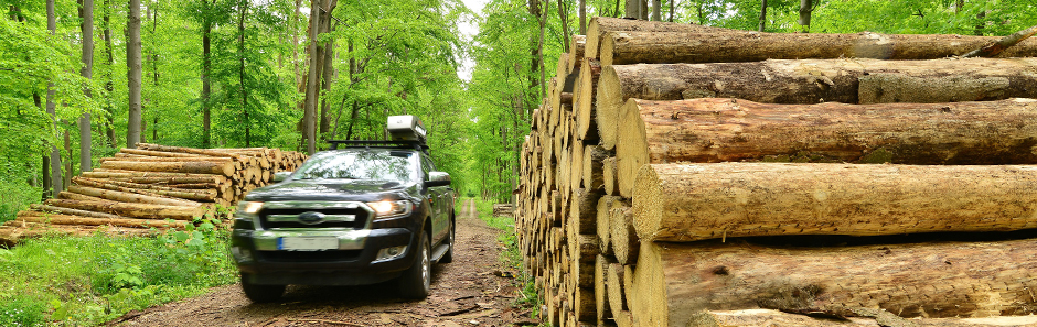 Auto von ThüringenForst mit sScale-Messvorrichtung auf dem Dach, fährt an einem Holzpolter in grünem Sommerwald vorbei