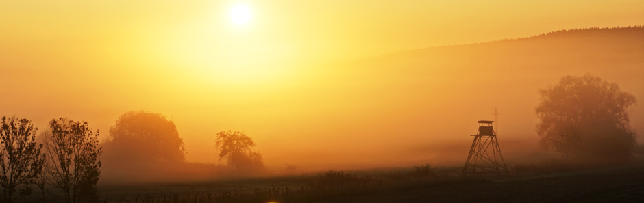 Sonnenaufgang in Wald- und Wiesenlandschaft; die Silhouette eines Jägerhochsitzes bildet sich ab