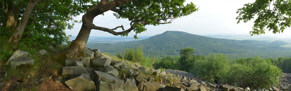 Blick von einem höher gelegenen urtümlichen Waldstück hinüber auf eine bewaldete Bergkuppe im Thüringer Wald