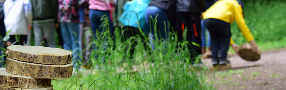 Gruppe von Kinder im Wald, sie spielen ein Spiel mit Baumscheiben. Ein Stapel solche Baumscheiben liegt im Vordergrund.