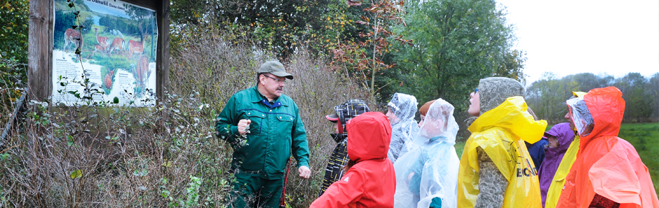 Im Wald: Waldpädagoge steht mit einer Gruppe Kindern vor einer Schautafel zum Thema Damwild und erklärt etwas. Die kInder in Regenmänteln hören aufmerksam zu.