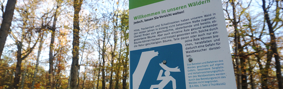Hinweisschild mit einer Grafik (herabfallender Ast fällt Mensch auf den Kopf) im Laubwald